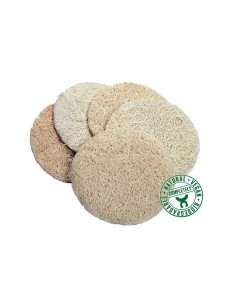 Discos de lufa para peeling Croll&Denecke 5 unidades