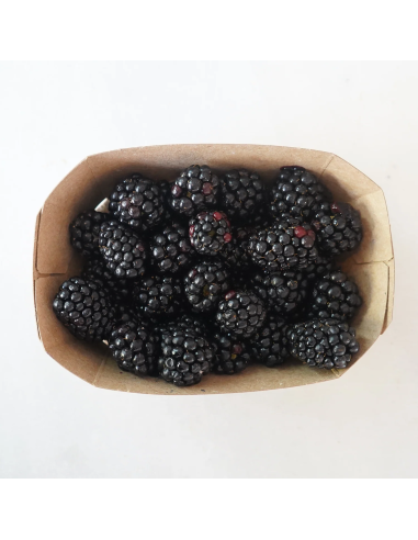 Moras Ecológicas 400G* Sin Pesticidas Garantizado 400G de Comptoirs & Compagnies