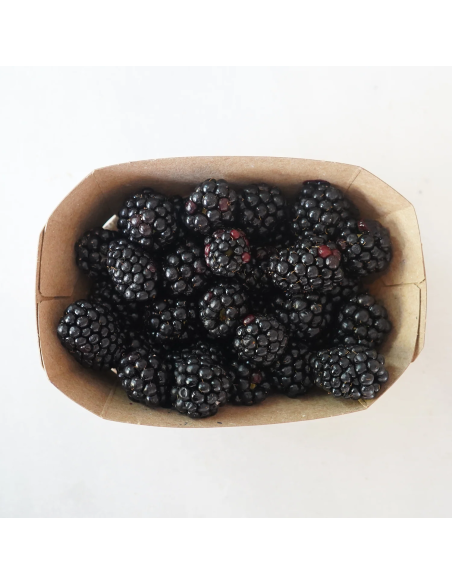 Moras Ecológicas 400G* Sin Pesticidas Garantizado 400G de Comptoirs & Compagnies