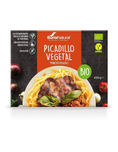 Pack 2 Picadillo Vegetal Bio 250g Alecosor Soria Natural