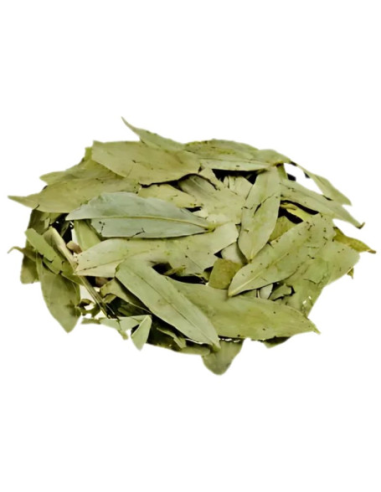 Sen Hojas 1 Kg Pinisan | Calidad Natural para tu Bienestar