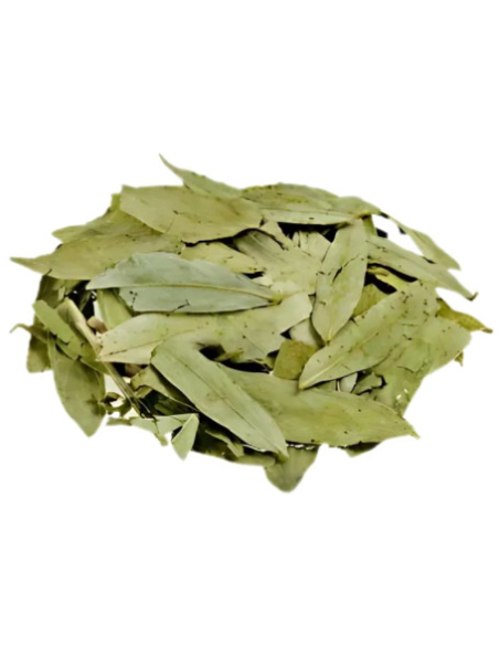 Sen Hojas 1 Kg Pinisan | Calidad Natural para tu Bienestar