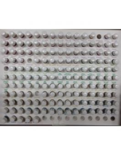 Kit Kinesiologico de Terpenic