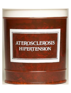 Aterosclerosis-Hipertension (Pulsophyton) de Averr