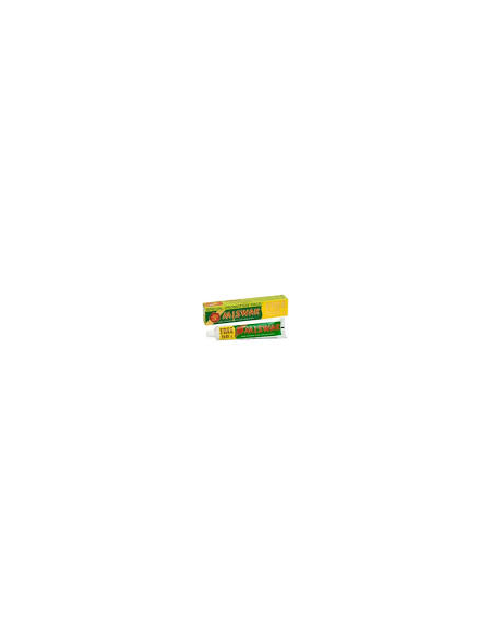 Dentifrico Miswak 120G+50G de Dabur