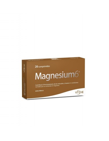 Magnesium6 20 Comp De Vitae