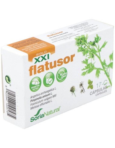 Flatusor 30 capsulas de Soria Natural
