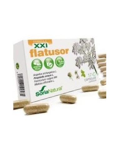 Flatusor 30 capsulas de Soria Natural