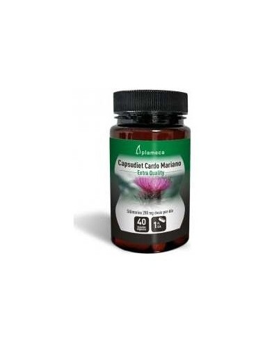 Cardo Mariano Capsudiet 40 cápsulas Plameca  Protección Hepática